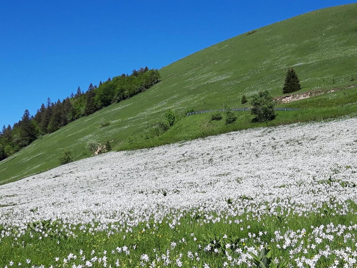 Valreley, Chambres Et Table D'Hotes Eco-Friendly Avec Bain Nordique Au Sud Du Massif Du Jura Champagne-en-Valromey Zewnętrze zdjęcie